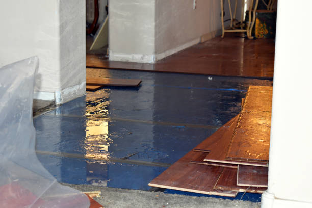 Professional Burst Pipe Cleanup technician working in Rougemont, NC